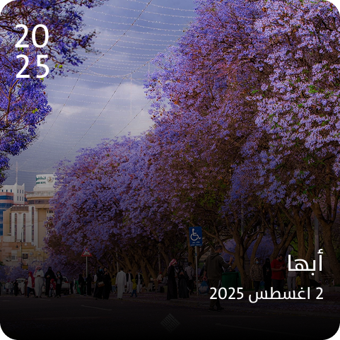 أبها